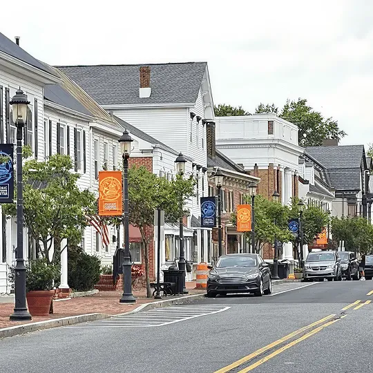 Street view of a small town with white buildings, trees, parked cars, and colorful banners on black lampposts.